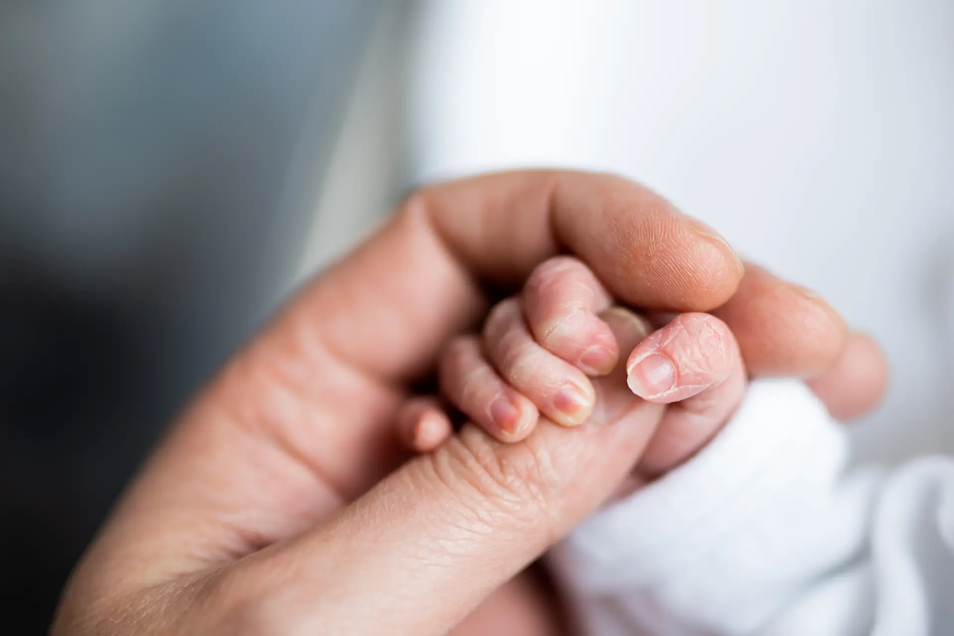Newborn holding a parent's finger