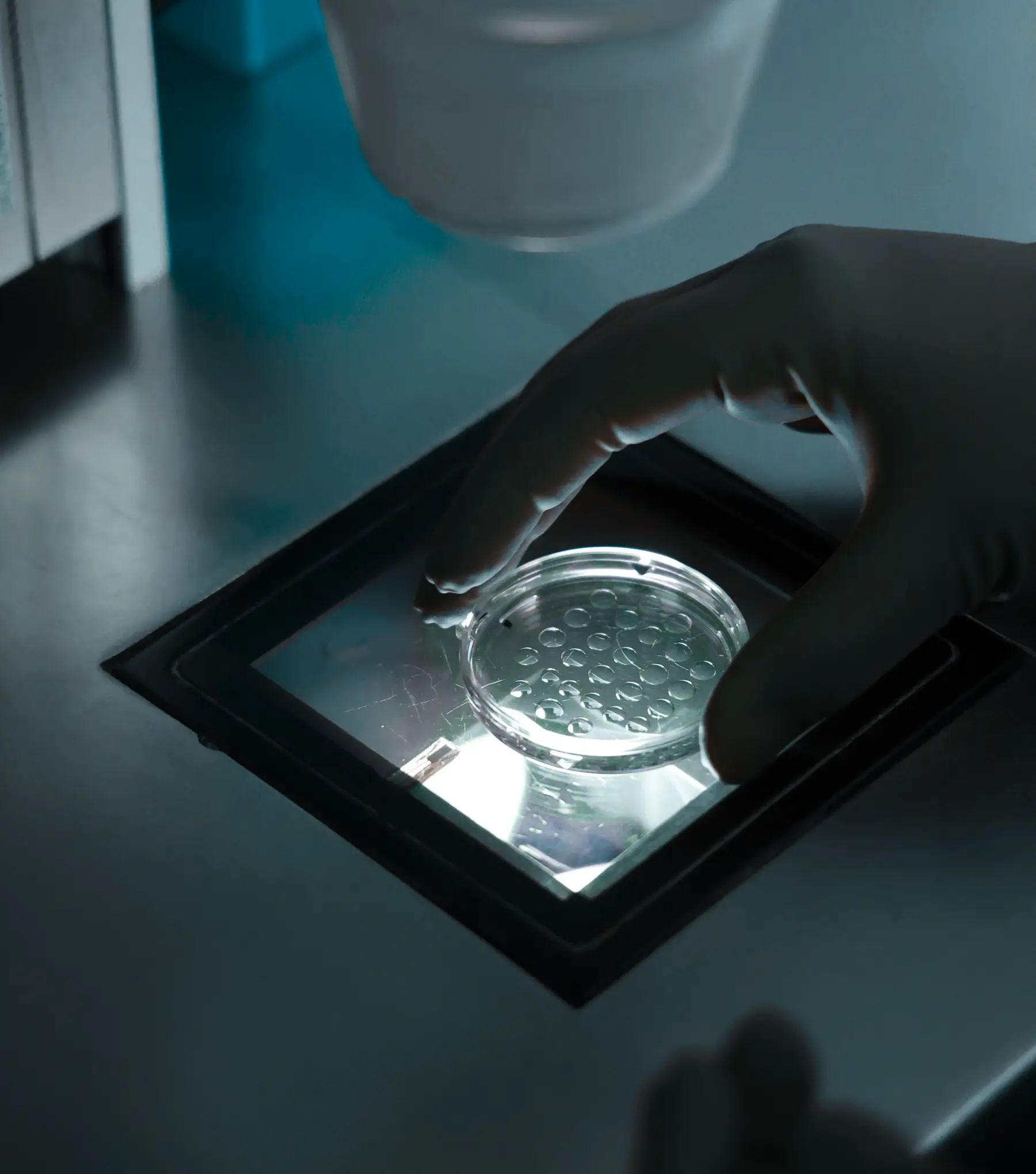 Embryo culture control